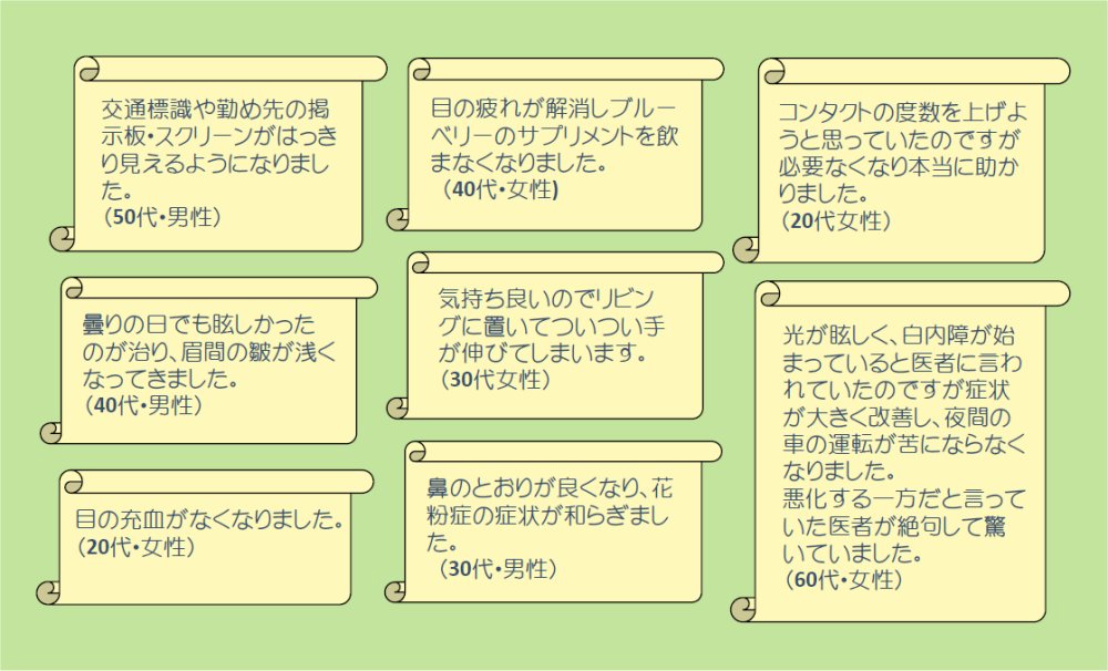 フィードバック